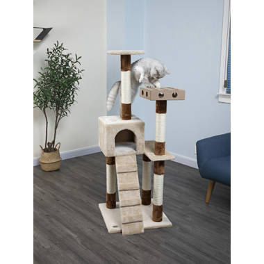 Box cat outlet tree